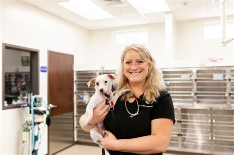 Power road animal hospital - 18610 E Rittenhouse Rd Building BQueen Creek, AZ 85142. (480) 674-3200. Visit Website. Contact our team at Power Road Animal Hospital to book an appointment for your pet or find out more about our veterinary services. 